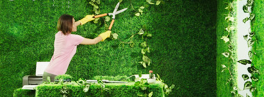 ,Apple,乔布斯的简单其实很不简单