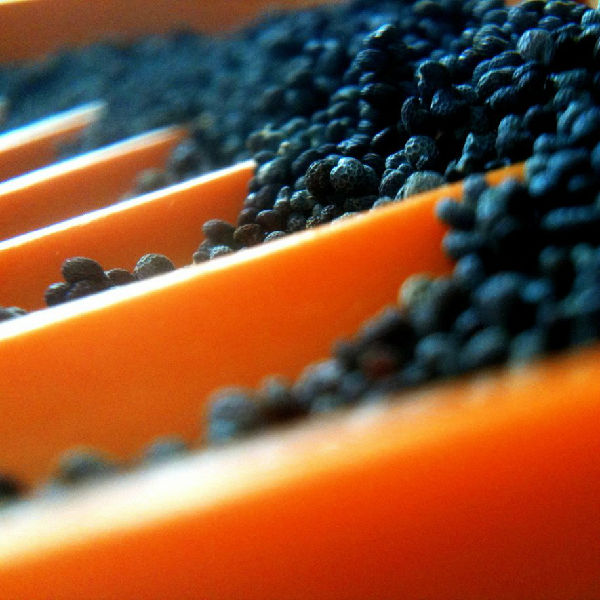 we-loved-this-macro-shot-of-blue-poppy-seeds.jpg ,互联网,iPhone拍摄的8张绝美照片