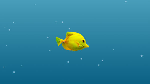 ,互联网,没有知识储备？没有相关经验？詹妮弗得伟告诉你0经验也可做编程！