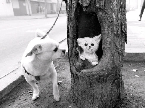 ,网民,媒体人,女孩“树洞作画”爆红网络 被赞“冬天里的精灵”