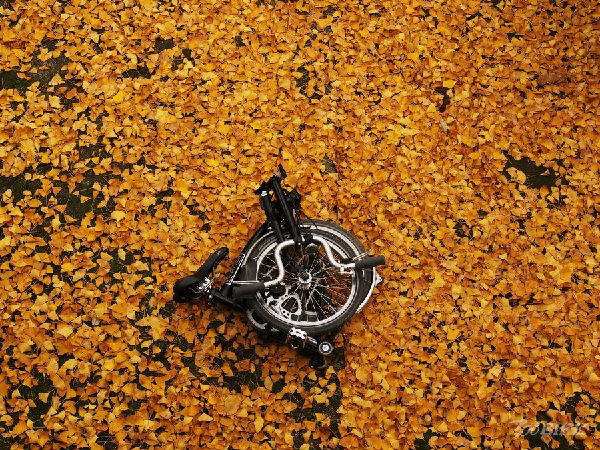 2.jpg ,互联网,700Bike:骑行归于生活