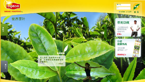 ,互联网,趋势网特色 网站之立顿网络——培养茶文化