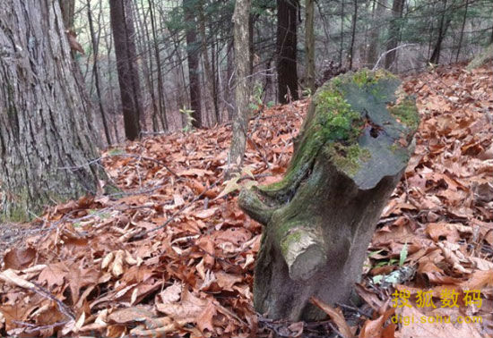 Img357777612.jpg ,平板电脑,Google,超高屏幕分辨率的优势下,Nexus 10也存在续航和拍照方面的平庸