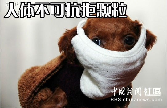 ,网民,网易,网友为PM2.5起中文名 太有才了