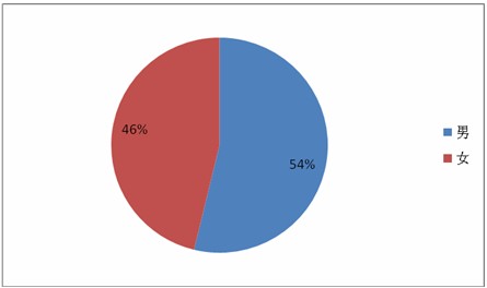 201308052881375685260953.jpg ,网民,电子商务,数据报告:年底我国网购用户将达3.1亿