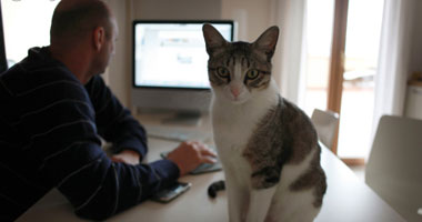 6.jpg ,粉丝,网民,增强现实,社交网络,趋势网推荐:玩微博的日子里错过了多少云卷云舒