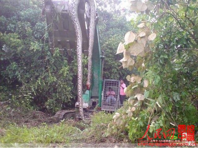 ,网民,网络假 新闻 泛滥 并且屡禁不止