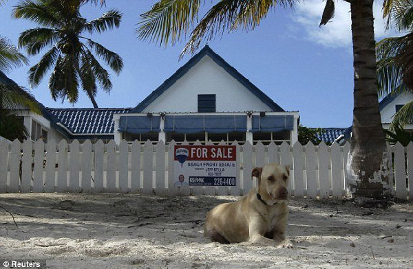 ,极客,枪，保镖，女人和狗：昔日杀毒大佬的浪荡晚年  