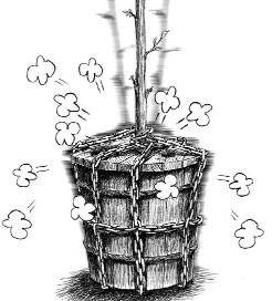 ,社交网络,Facebook,Twitter,共识越多,越不容易引发争吵