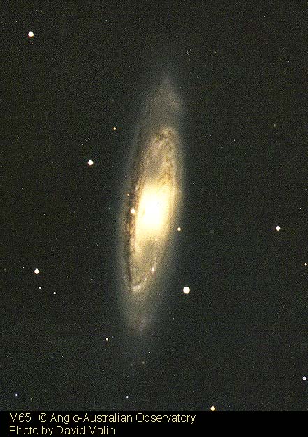 ,互联网,仰望星空……星空中文网