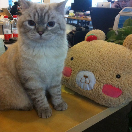 48FAB3C8E37920568804DA39663AAED1_460_460.jpg ,移动互联网,人人,创业者,平板电脑,电子商务,Facebook,豆瓣到底是什么?靠什么盈利?