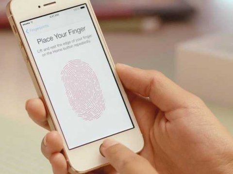 ,Apple,趋势网爆料：iphone5s指 纹传感器需靠活性皮肤层识别 砍下无效哦