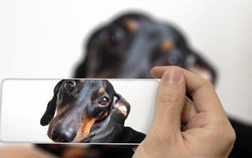 79180829.jpg ,智能手机,平板电脑,硬件趋同:未来手机会有什么不同?