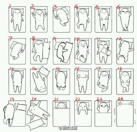 W020130324349533042325.jpg ,网民,24种睡姿图网上走红 网友直呼销魂