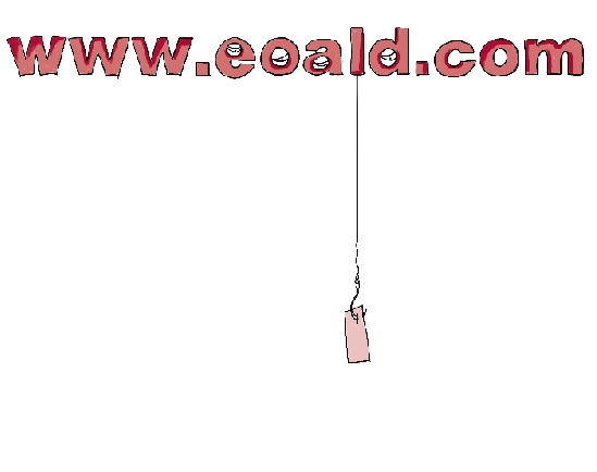 sdfdsfdf.jpg ,搜索引擎,订票小心钓鱼网站 大学生网上订机票被骗近5000元