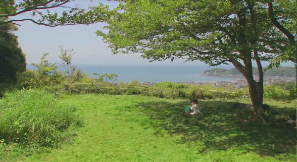 ,网络视频,想知道网络视频如何轻易下载吗？