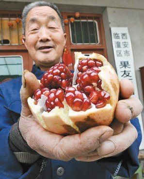 83875313.jpg ,网民,4岁患癌男童想吃石榴 网友千里接力当日送达