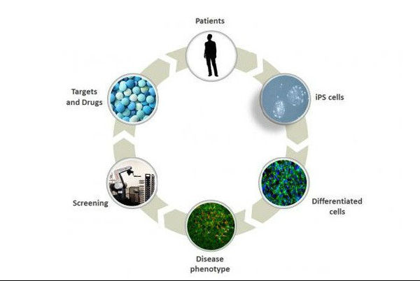 ,Google,趋势网盘点：你不知道的谷歌10大创新创业项目！