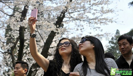 ,Apple,遍地“苹果”的时代 