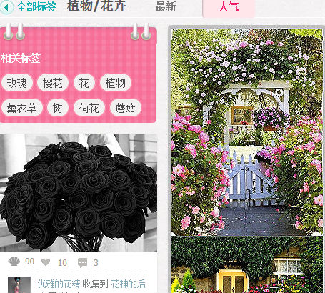 ,浏览器,嘀咕网——图片控的饕餮盛宴