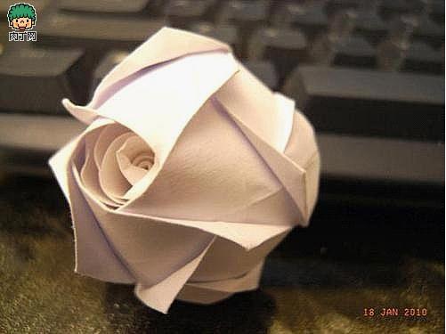 ,互联网,肉丁网——为生活添个小创意