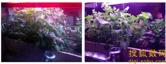 ,即时通讯,全触屏手机黑莓Z10配置测评：弱光拍摄性能优