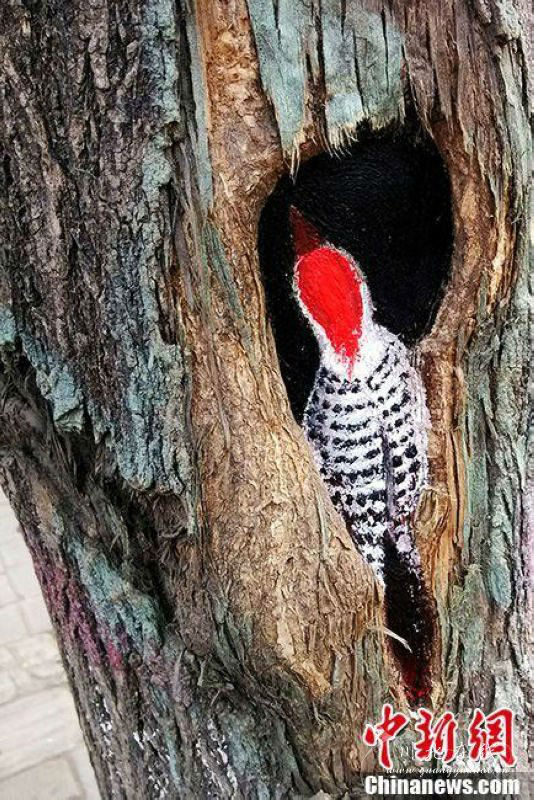 ,网民,媒体人,女孩“树洞作画”爆红网络 被赞“冬天里的精灵”