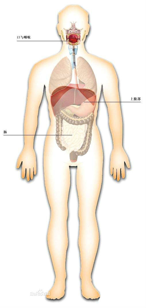 6159252dd42a28346a90f3035bb5c9ea14ce36d3d5399fb8.jpg ,Apple,父亲节:肠胃“不给力”怎么了办?!