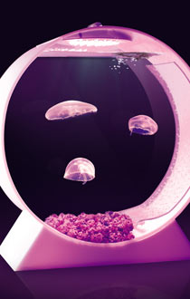 ,3D打印,企业家,互联网开创新工业革命