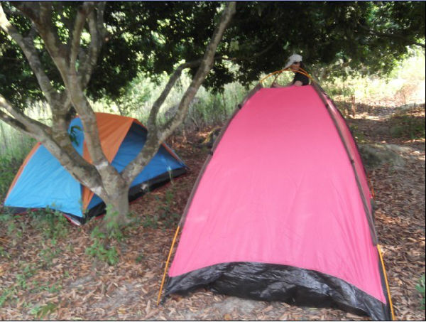 ,互联网,其实一线城市也有蓝天碧水---旅游露营点推荐，广州从化流溪河