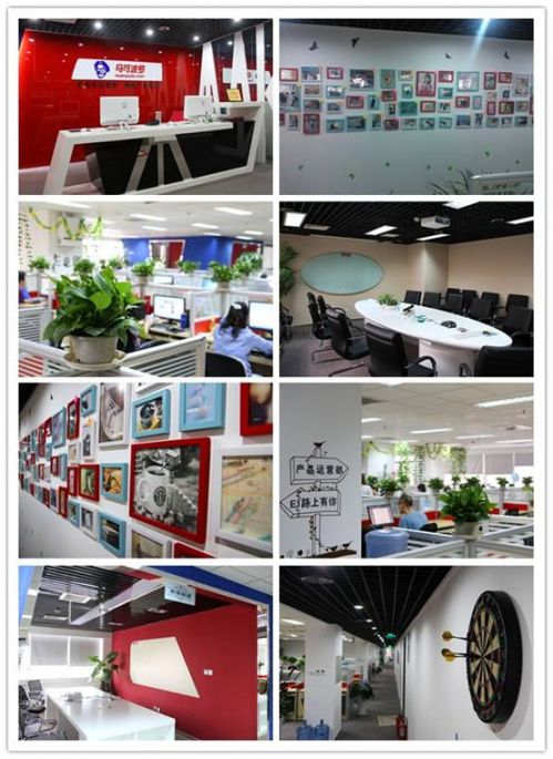 ,电子商务,B2B,搜索引擎,创业者,企业家,粉丝,马可波罗网：电子商务领域的造梦者