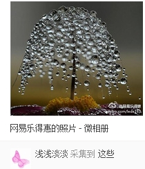 ,奇虎,花瓣网：那刻的怦然心动