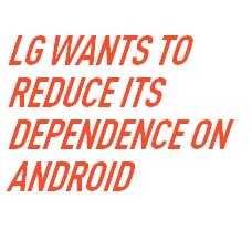 ,平板电脑,Google,Apple,LG并没有在开发新一代Nexus