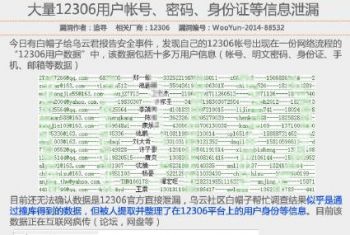 12306 刷票脚本_12306刷票_12306刷票软件360