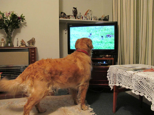 ,Twitter,Twitter惊人现状:并没有多少人真的在使用