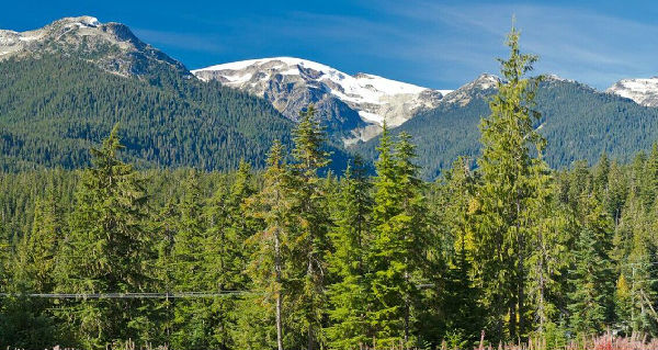 ,前后对比照告诉你气候变化是如何摧毁地球的！