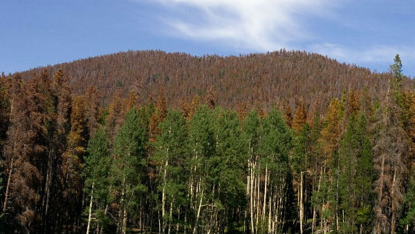 ,前后对比照告诉你气候变化是如何摧毁地球的！