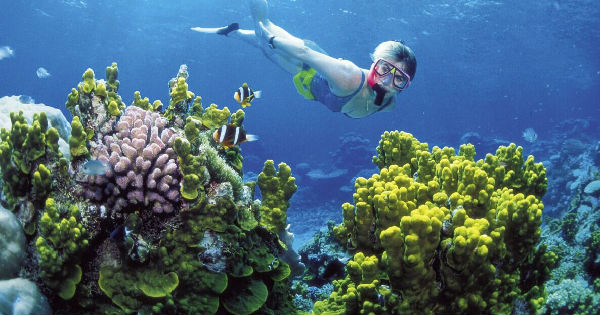 ,前后对比照告诉你气候变化是如何摧毁地球的！