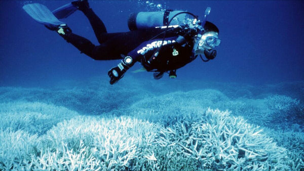 ,前后对比照告诉你气候变化是如何摧毁地球的！