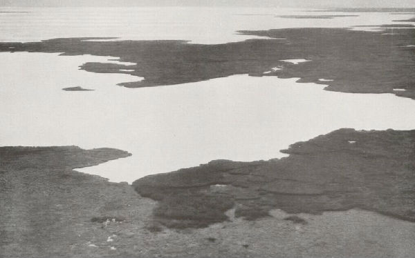 ,前后对比照告诉你气候变化是如何摧毁地球的！