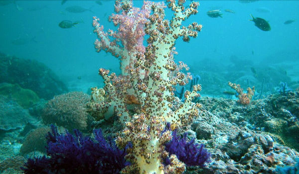 ,前后对比照告诉你气候变化是如何摧毁地球的！