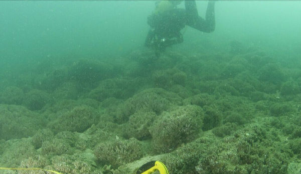 ,前后对比照告诉你气候变化是如何摧毁地球的！