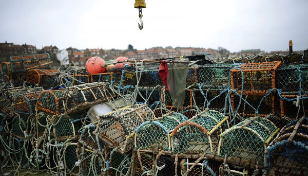 ,前后对比照告诉你气候变化是如何摧毁地球的！