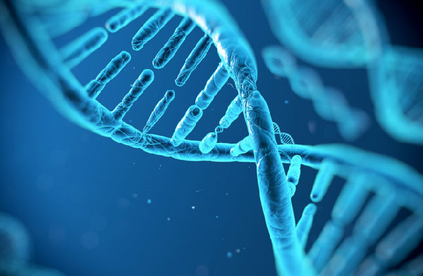 128480944.png ,未来约会新方式,借助虚拟现实和DNA匹配技术