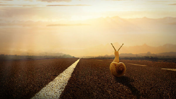 20151127033540738.jpg ,投资人,O2O,黄澄锋:一个App诞生背后的故事有绝处逢生