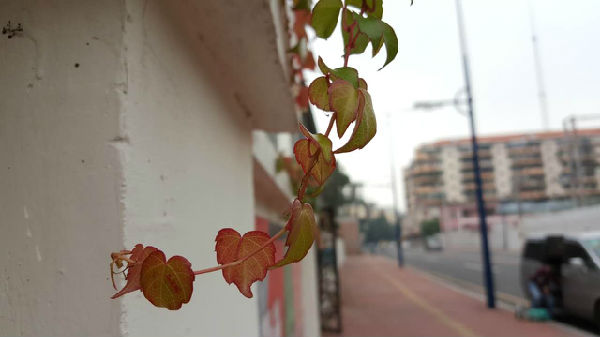 445.jpg ,三星W2016体验:一款竟如此智能的翻盖手机