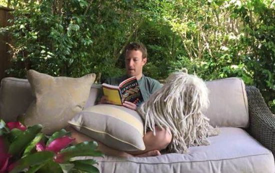 2016021401485373ff0_550.jpg ,马云,李彦宏,扎克伯格,创始人,阿里巴巴,百度,微软,Facebook,虐狗or励志:互联网大佬们的爱 情 故事 人生赢家是怎样炼成的