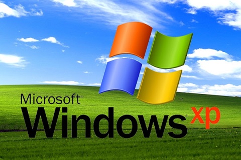,微软,不死小强Windows XP被弃两年后 市场占有率仍位居世界第三