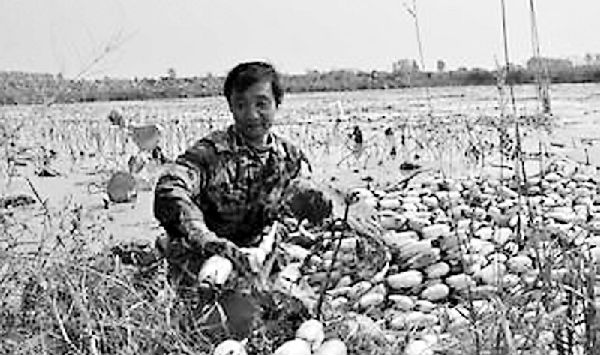 183237164.jpg ,打通电商进村“最后一公里”,助力农村电商大发展