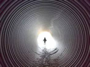 ,中国未来二十年大趋势